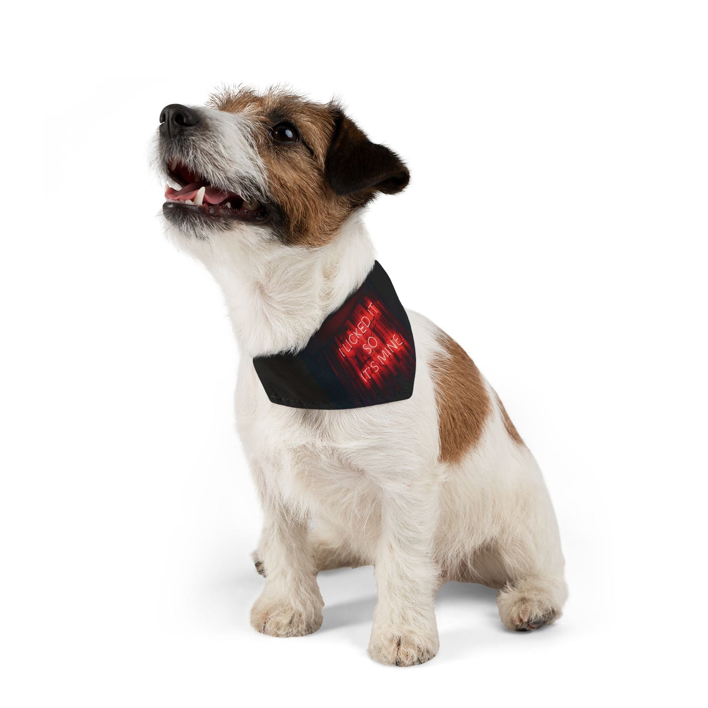Lick Claim Pet Bandana Collar