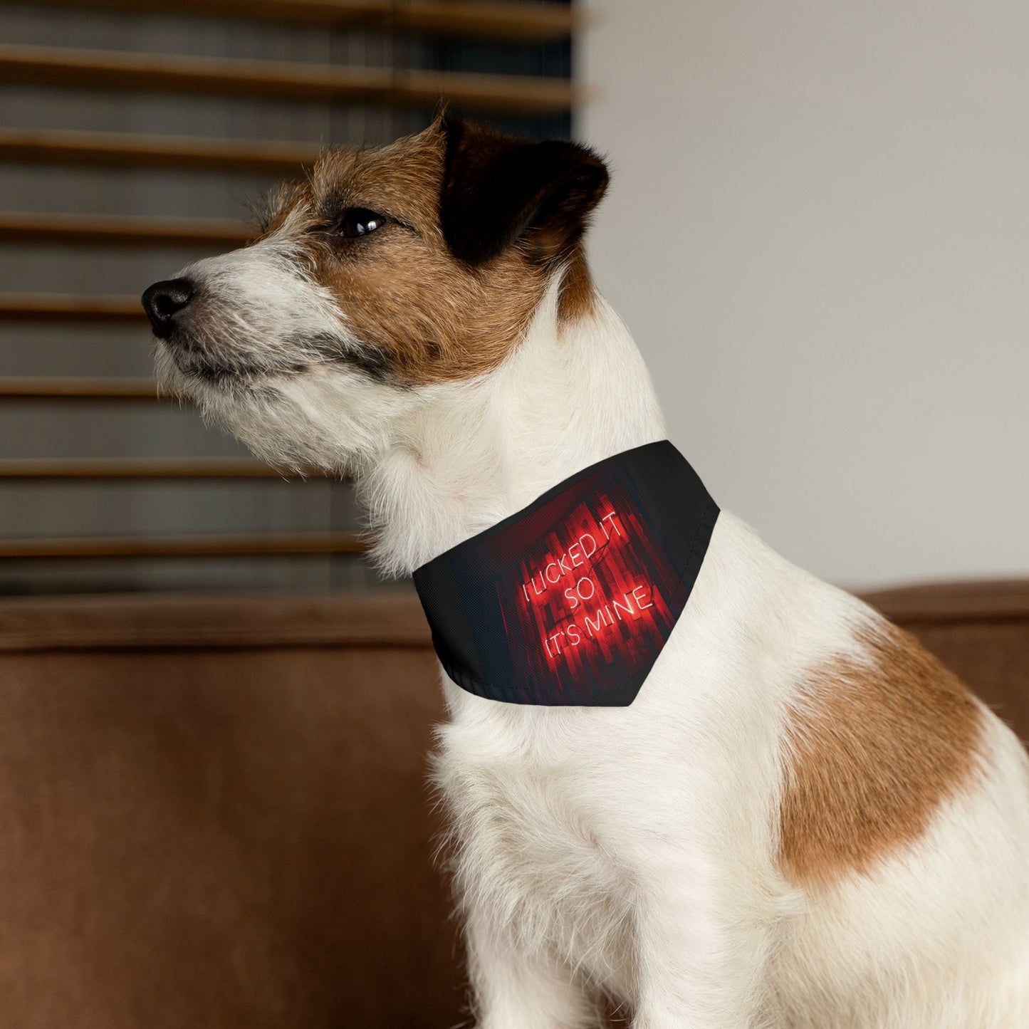 Lick Claim Pet Bandana Collar